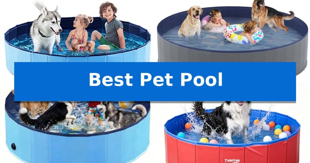 Best Pet Pool