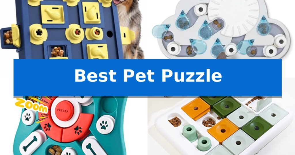 Best Pet Puzzle