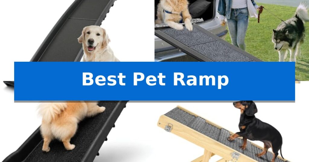 Best Pet Ramp