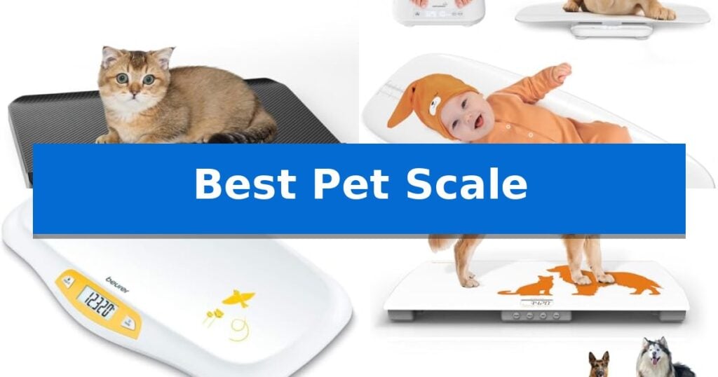 Best Pet Scale