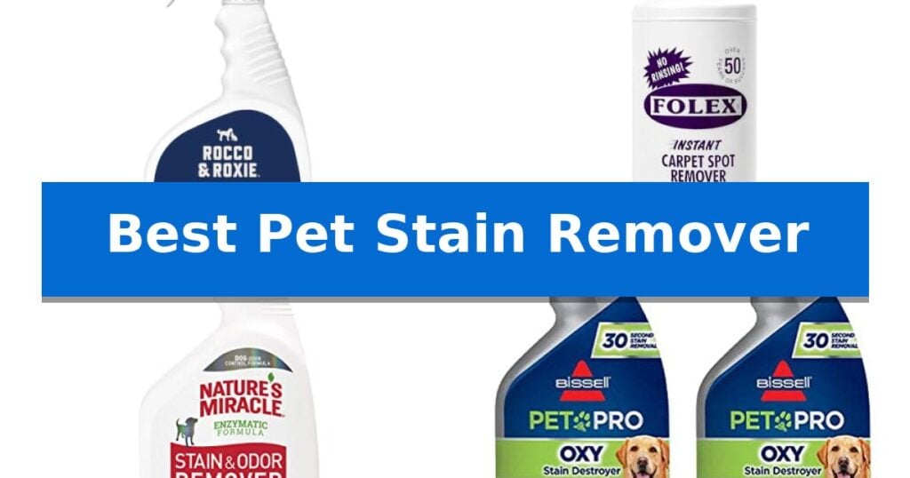 Best Pet Stain Remover