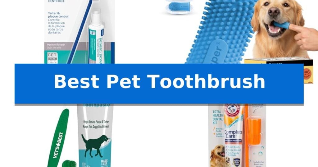 Best Pet Toothbrush