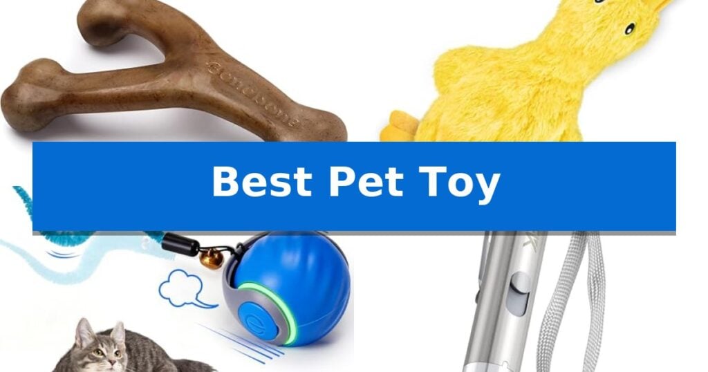 Best Pet Toy