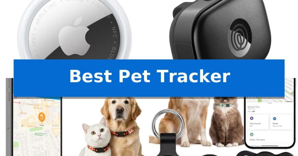 Best Pet Tracker