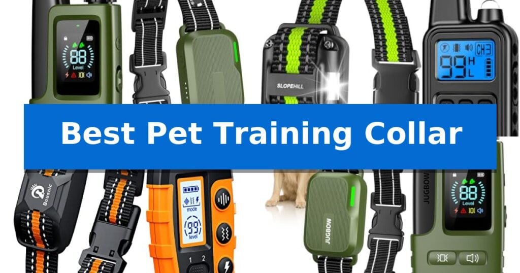 Best Pet Training Collar
