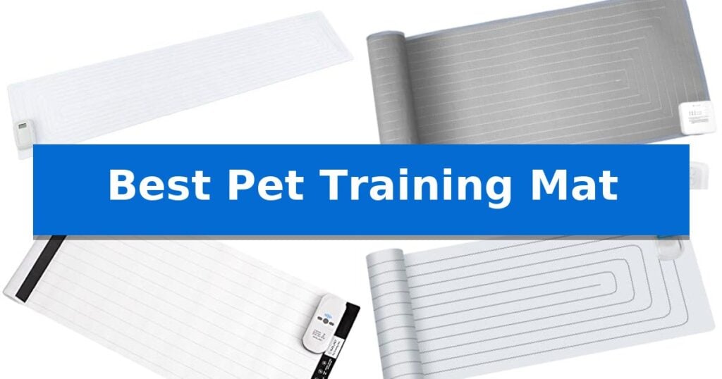 Best Pet Training Mat