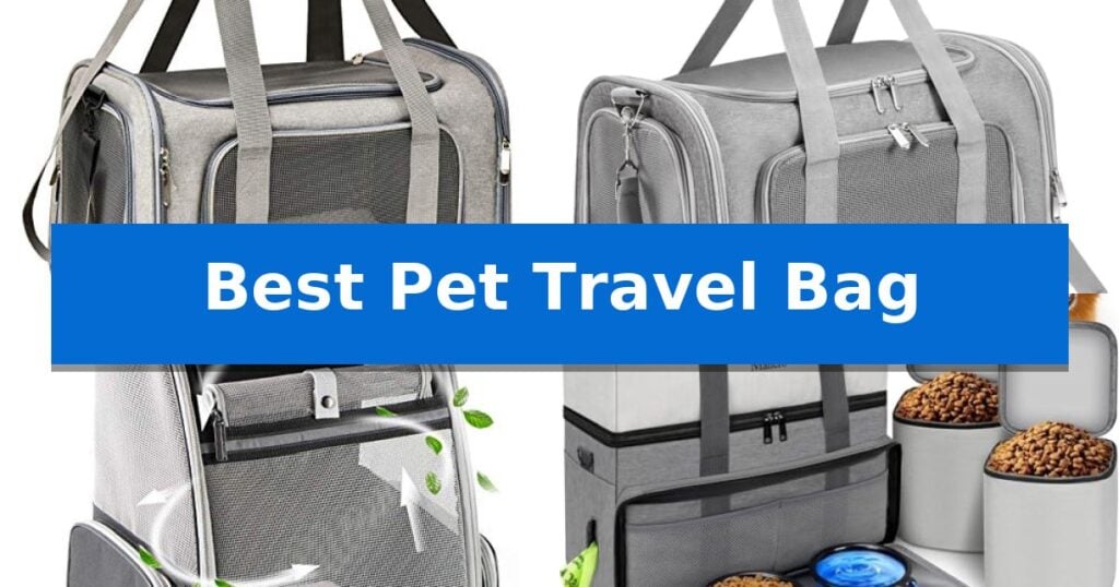 Best Pet Travel Bag