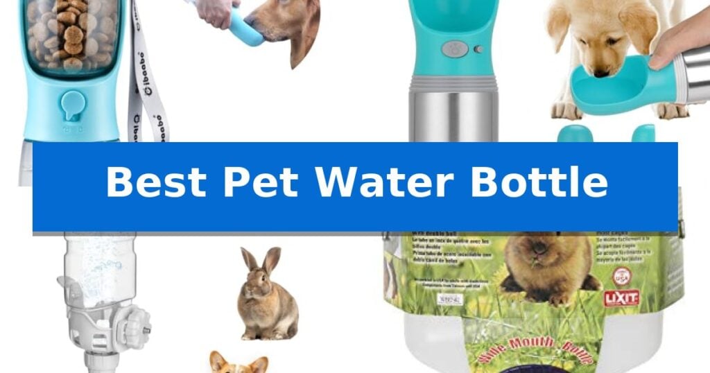 Best Pet Water Bottle