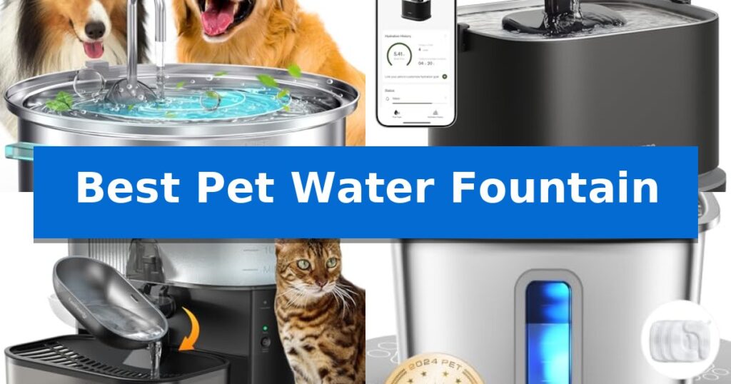 Best Pet Water Fountain