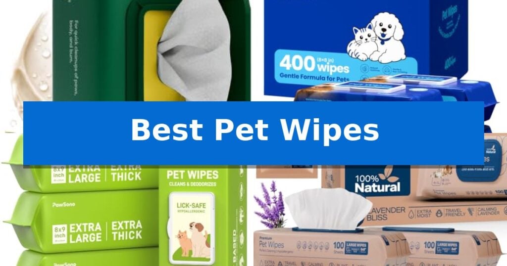 Best Pet Wipes