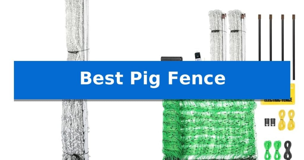 Best Pig Fence