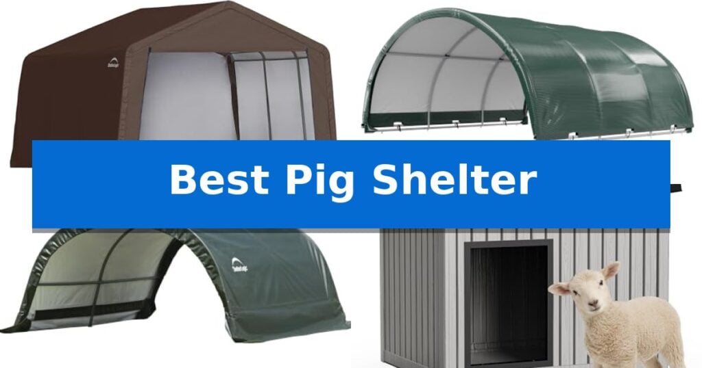 Best Pig Shelter