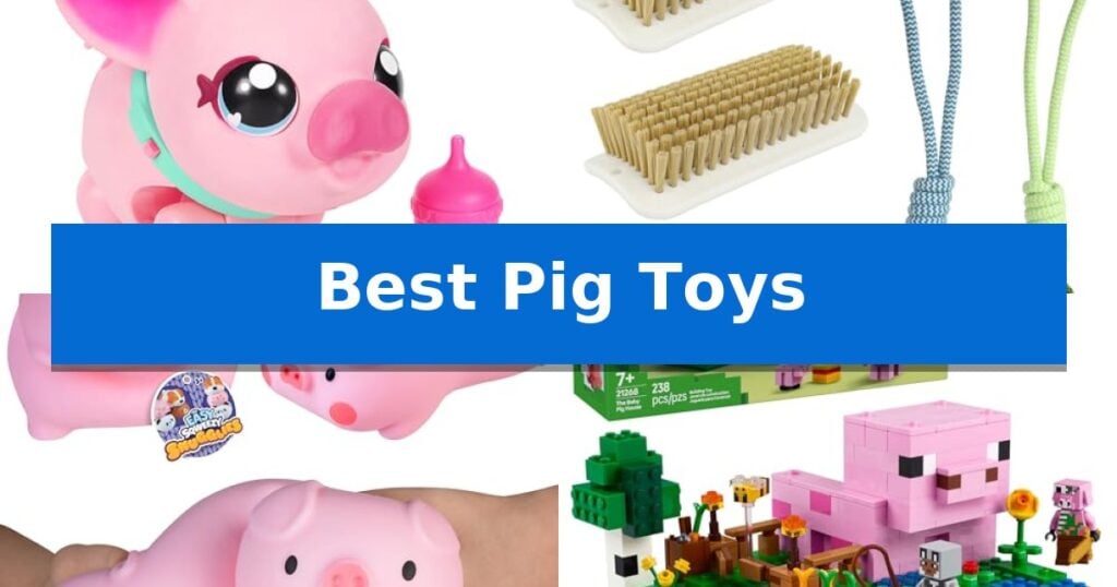 Best Pig Toys