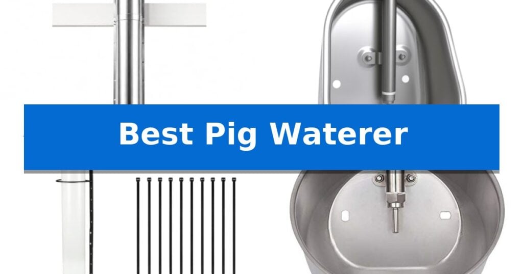 Best Pig Waterer