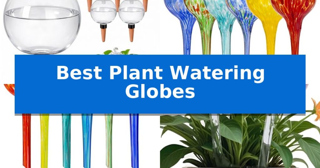 Best Plant Watering Globes