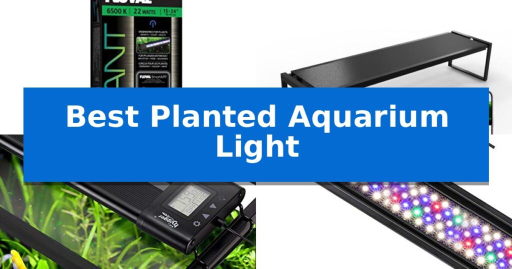 Best Planted Aquarium Light