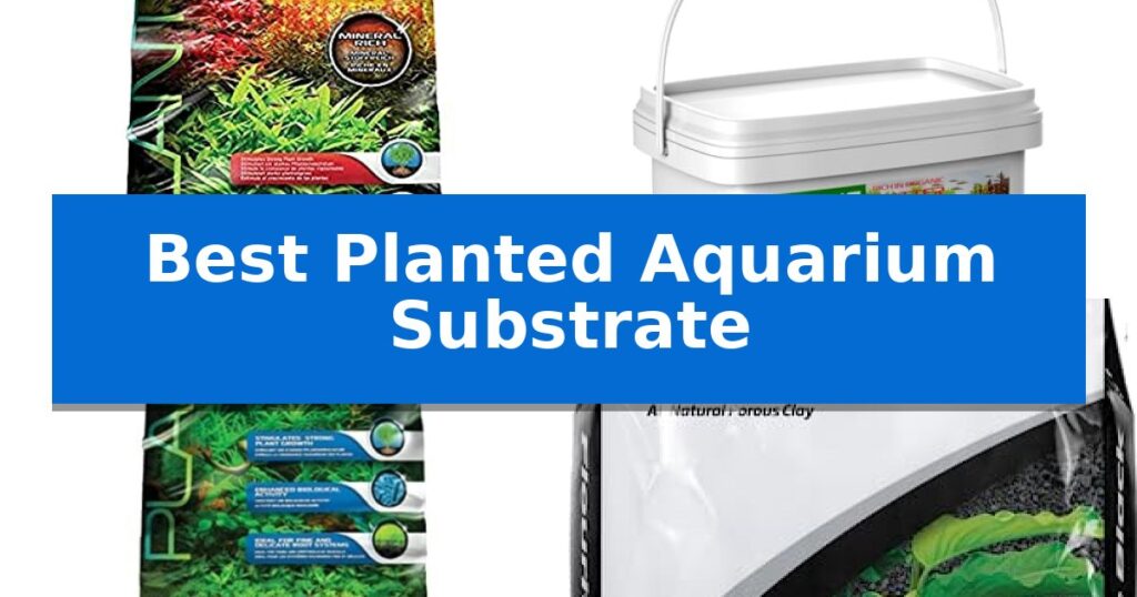 Best Planted Aquarium Substrate