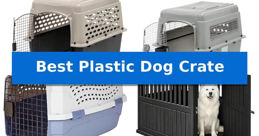 Best Plastic Dog Crate