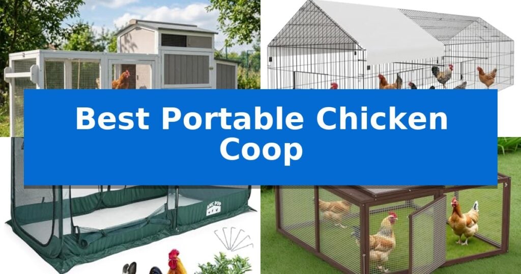 Best Portable Chicken Coop