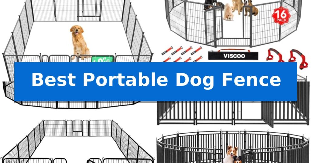 Best Portable Dog Fence