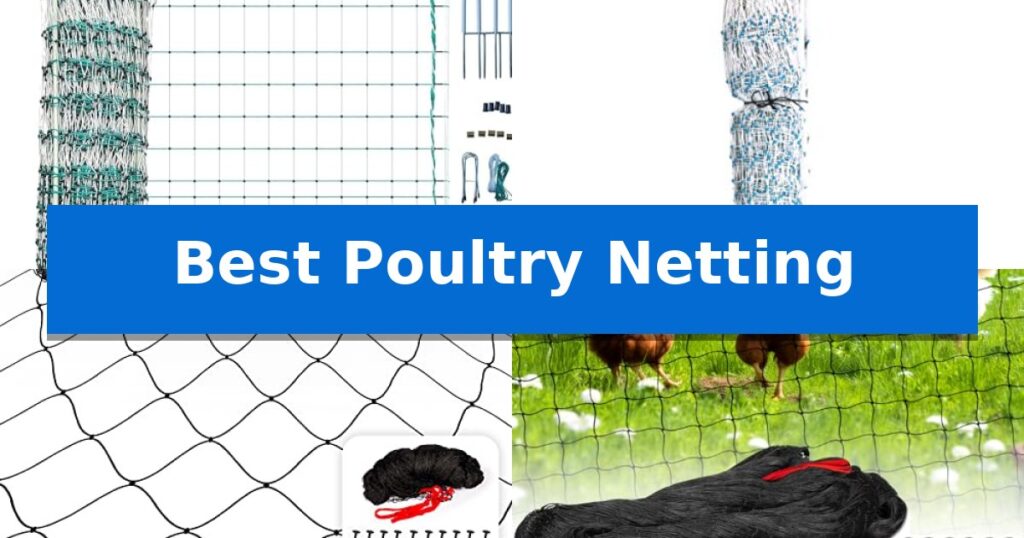 Best Poultry Netting