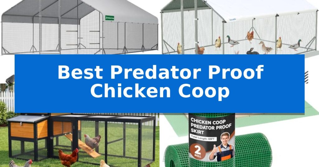 Best Predator Proof Chicken Coop