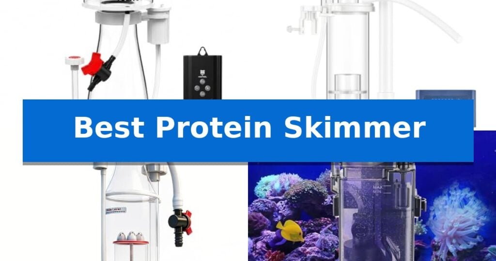 Best Protein Skimmer