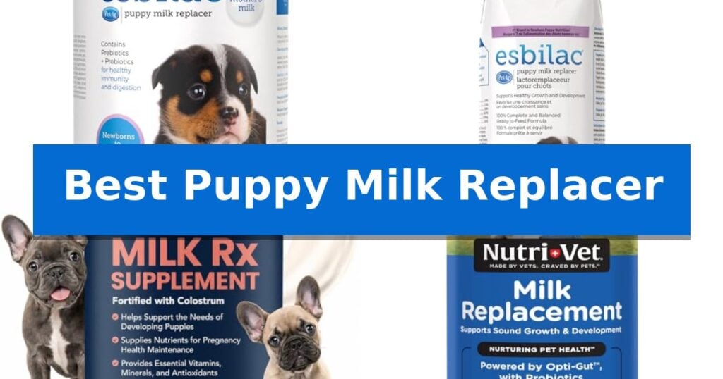 Best Puppy Milk Replacer