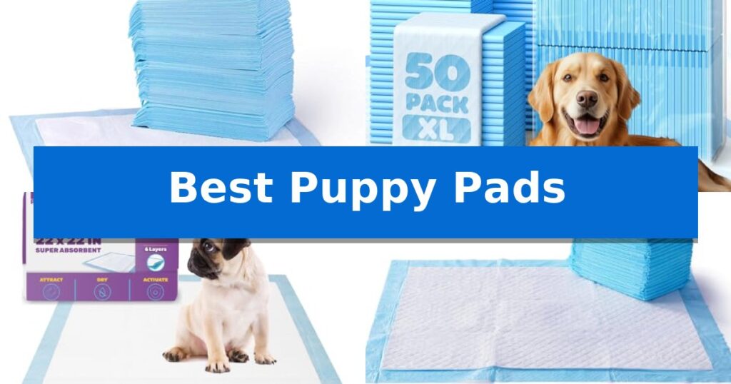 Best Puppy Pads