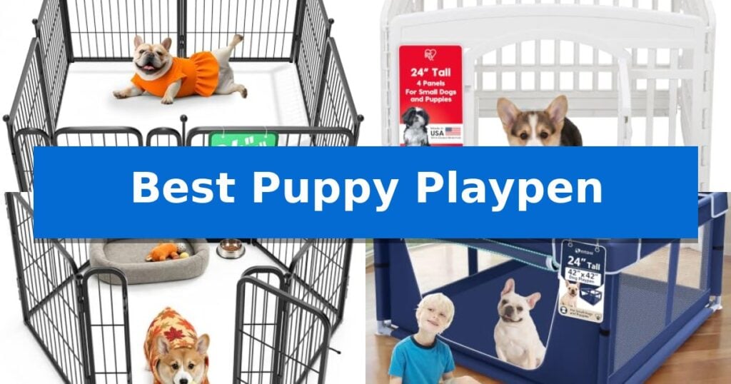 Best Puppy Playpen