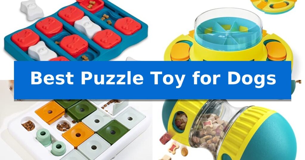 Best Puzzle Toy for Dogs