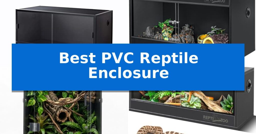 Best PVC Reptile Enclosure