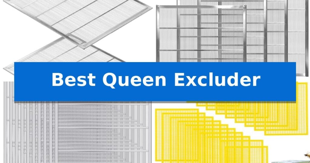 Best Queen Excluder