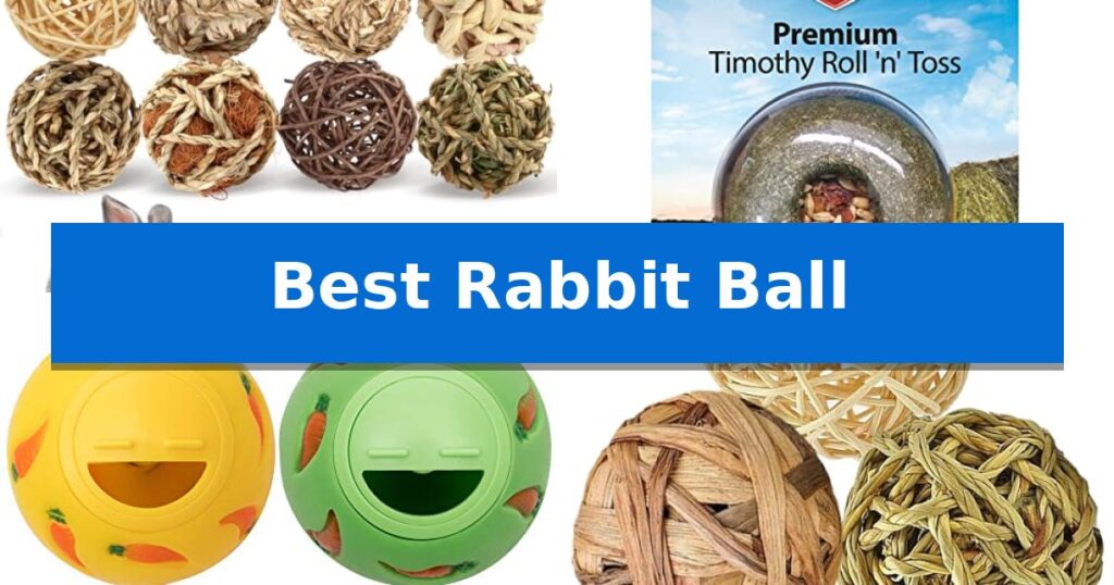 Best Rabbit Ball