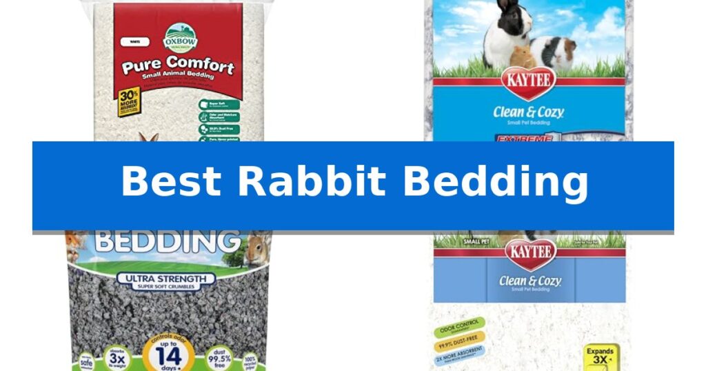 Best Rabbit Bedding