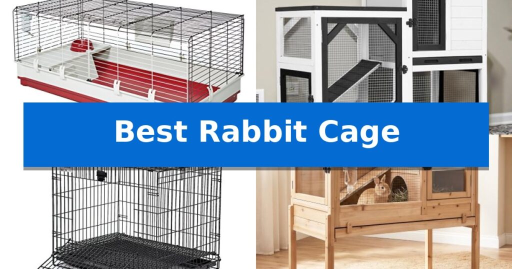 Best Rabbit Cage