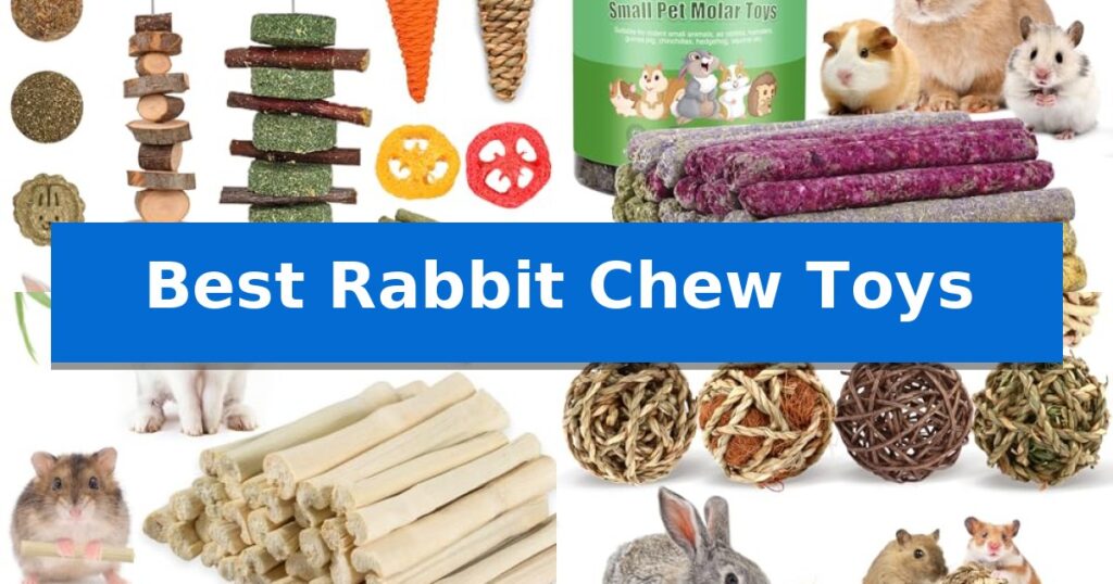 Best Rabbit Chew Toys