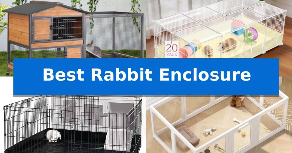 Best Rabbit Enclosure