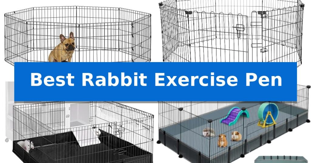 Best Rabbit Exercise Pen