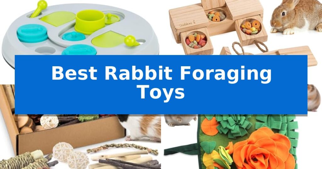 Best Rabbit Foraging Toys