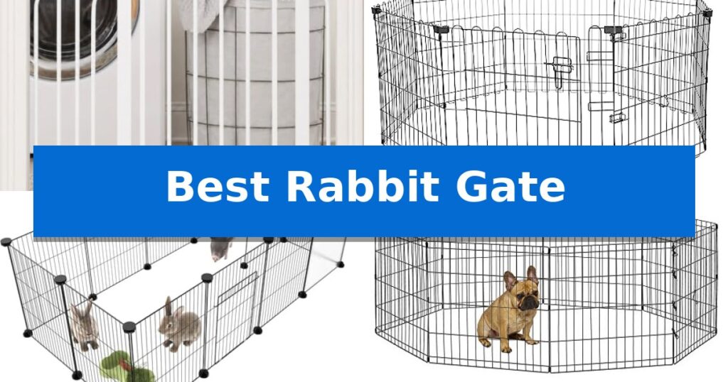 Best Rabbit Gate