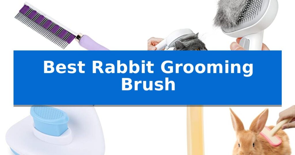 Best Rabbit Grooming Brush