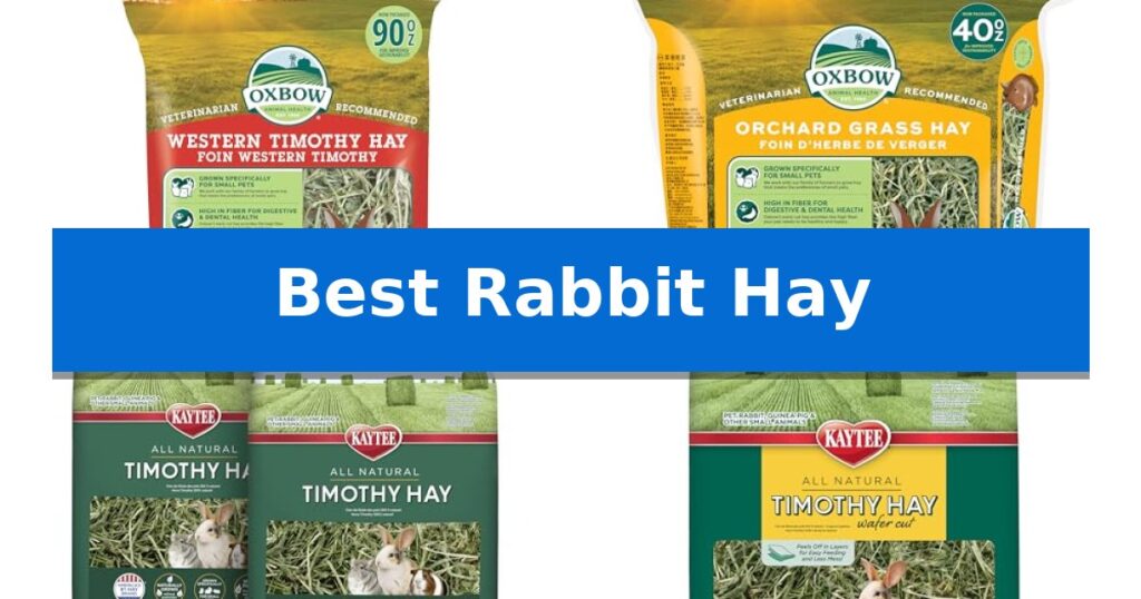 Best Rabbit Hay