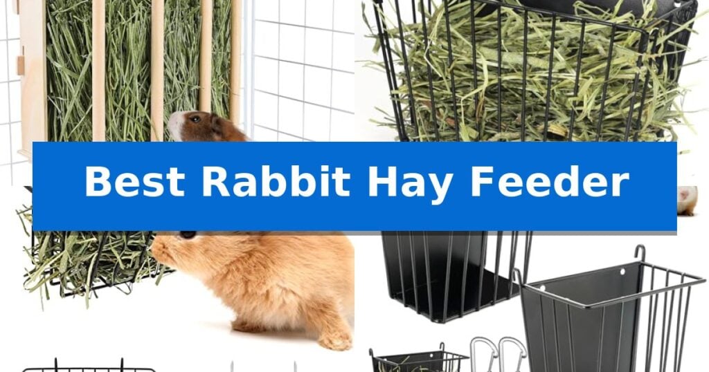 Best Rabbit Hay Feeder