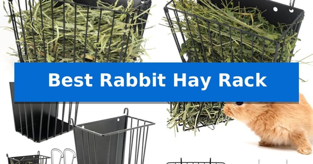 Best Rabbit Hay Rack