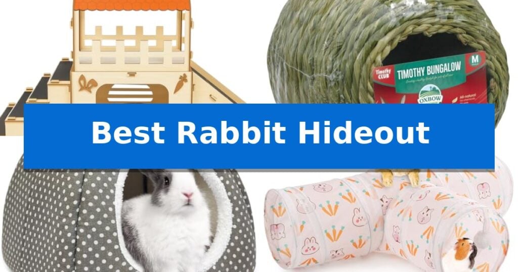 Best Rabbit Hideout