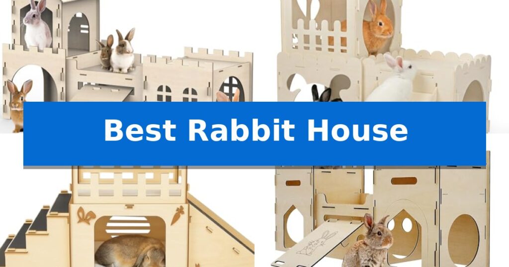 Best Rabbit House