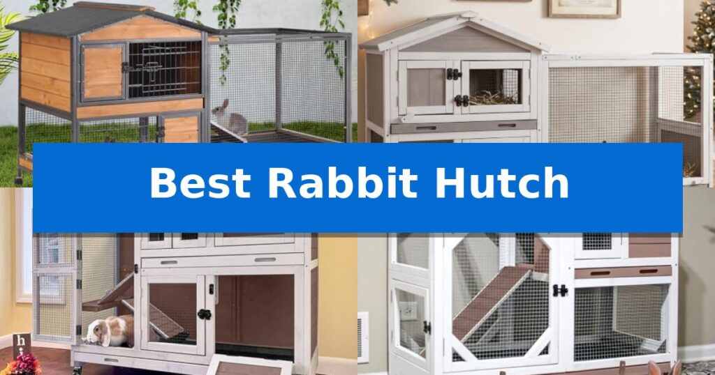 Best Rabbit Hutch