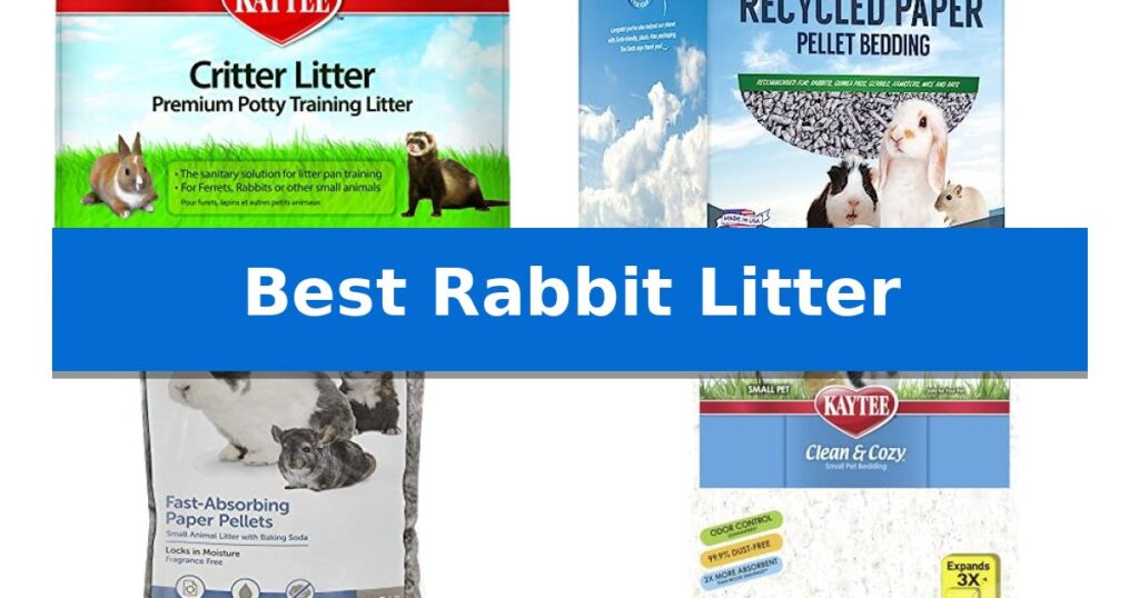 Best Rabbit Litter