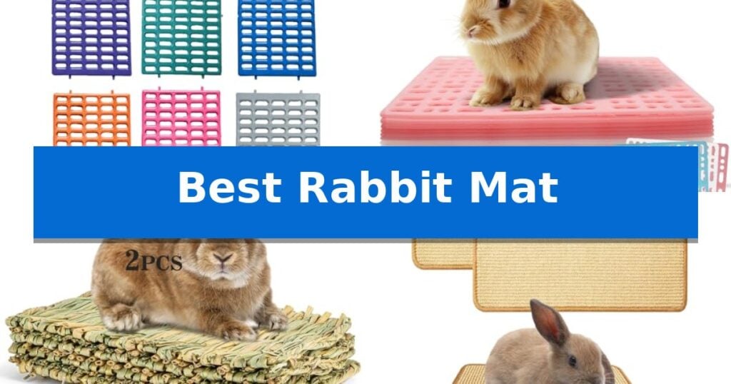 Best Rabbit Mat